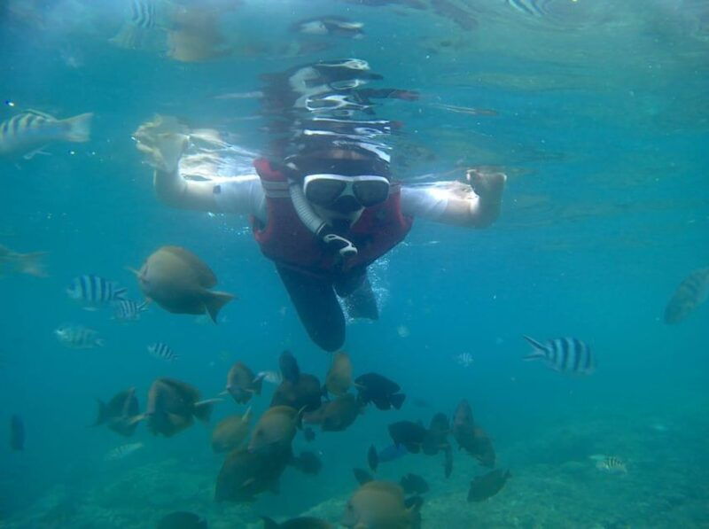 bali-private-snorkeling-to-blue-lagoon-and-tanjung-jepun