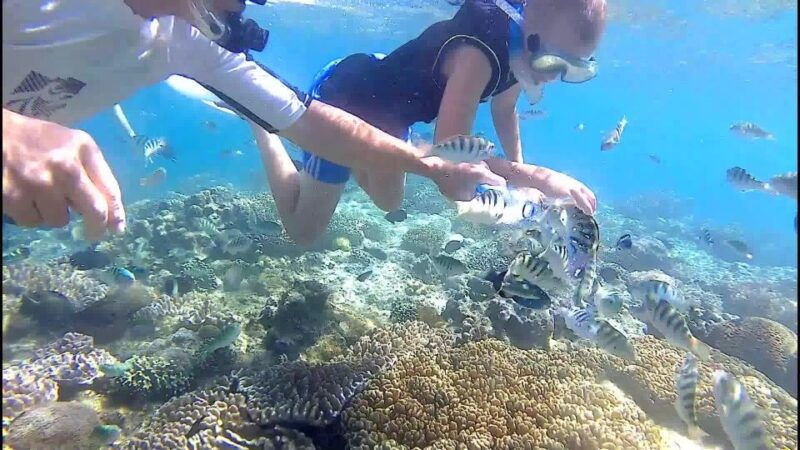 bali-private-snorkeling-to-blue-lagoon-and-tanjung-jepun