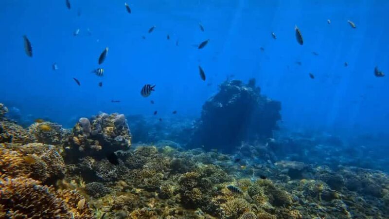 Bali: Private Snorkeling Trip to Blue Lagoon & Tanjung Jepun - Experienced Guides and Quality Gear