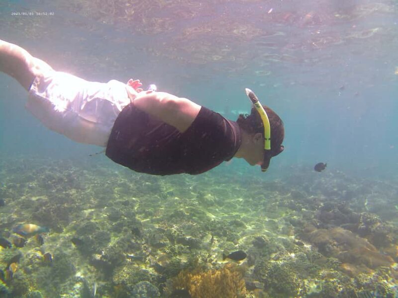 Bali: Private Snorkeling Trip to Blue Lagoon & Tanjung Jepun - Pricing and Value