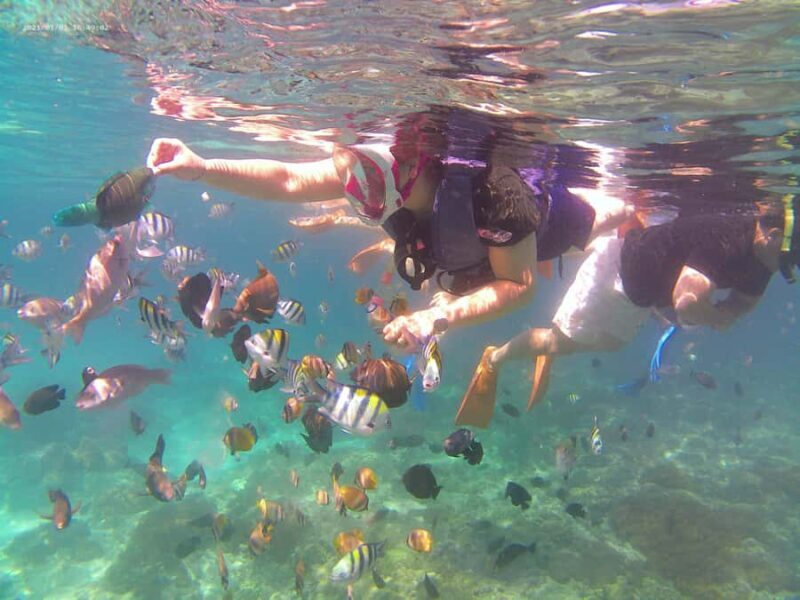 Bali: Private Snorkeling Trip to Blue Lagoon & Tanjung Jepun - The Bottom Line