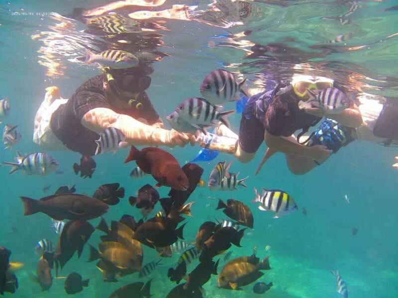 Bali: Private Snorkeling Trip to Blue Lagoon & Tanjung Jepun - FAQs