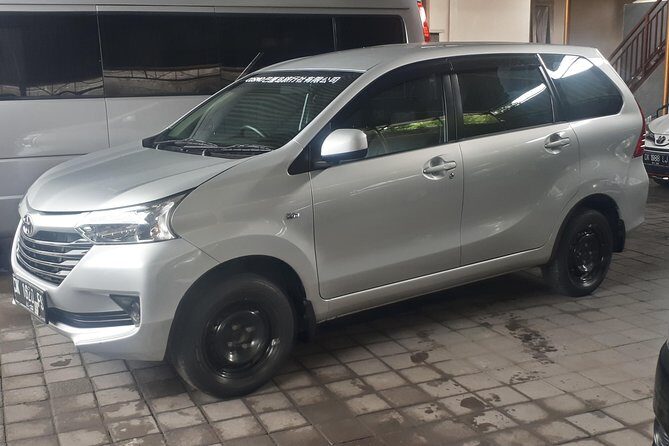 Bali Private Tour - Car with Driver - Authenticity and Local Insights