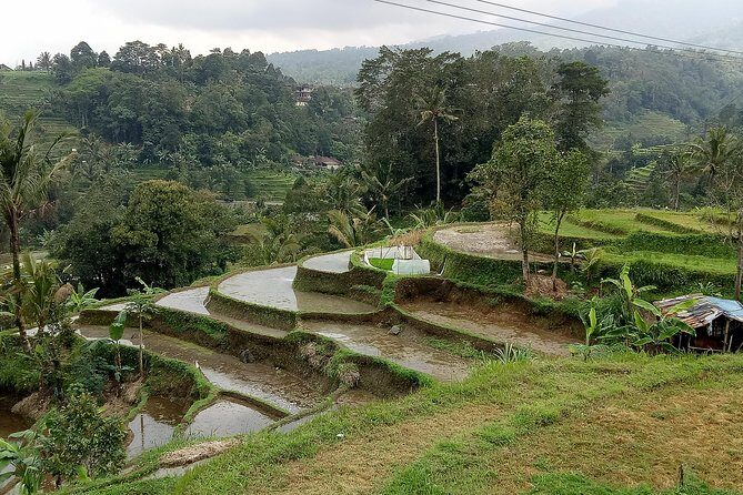 Bali Private Tour Guide And Driver - The Sum Up