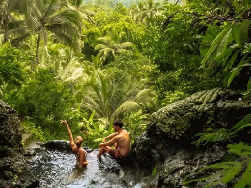 Bali: Private Waterfalls and Rice Terraces Day Trip - Key Points