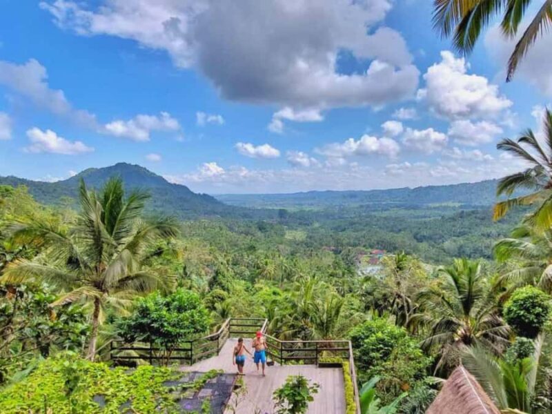 Bali: Private Waterfalls and Rice Terraces Day Trip - Final Thoughts