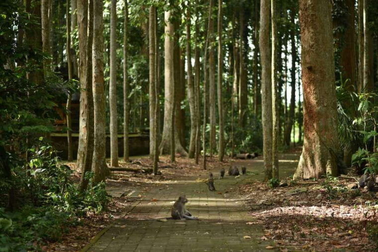 bali-purification-ritual-at-taman-beji-griya
