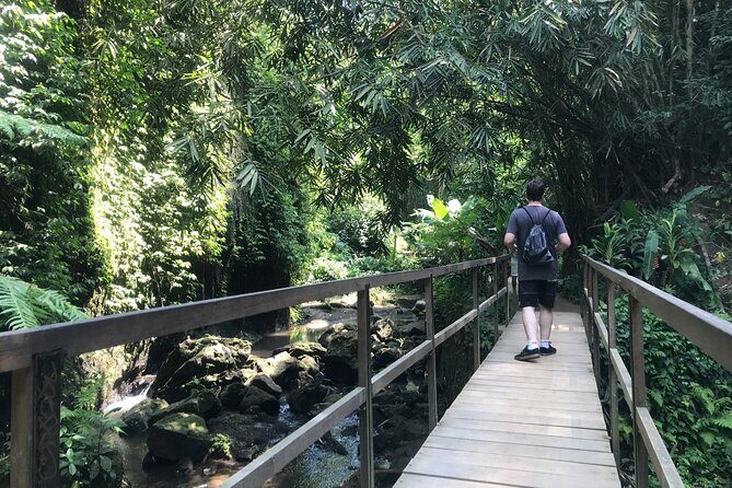 Bali Quad Adventure with Waterfall Tour - The Sum Up