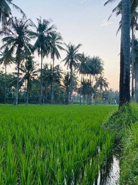 bali-quad-bike-adventure-with-buffet-lunch