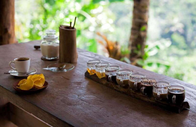 bali-quad-bike-adventure-with-ubud-monkey-forest-tour