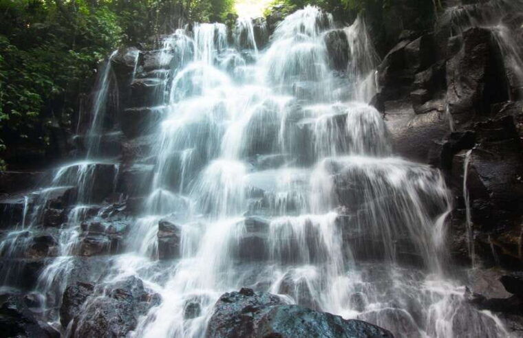 bali-quad-bike-adventure-with-ubud-monkey-forest-tour