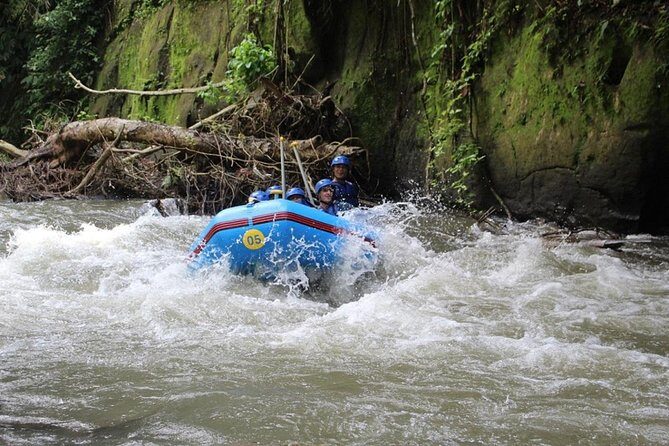 Bali Rafting at Ayung River Ubud - (Private & All-Inclusive) - What to Expect from Bali Rafting at Ayung River