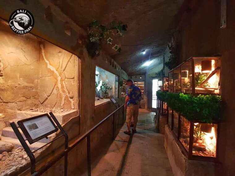 bali-reptile-park-1-day-admission-ticket