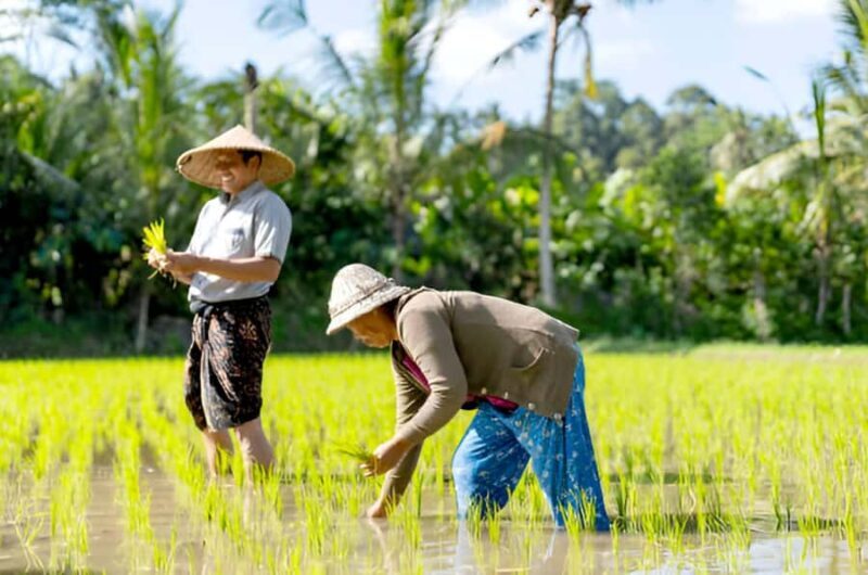 Bali: Rice Terrace Trekking & Jungle River Tubing Adventure - Practical Details: What to Know Before You Go