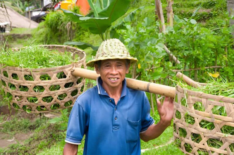 Bali: Rice Terrace Trekking & Jungle River Tubing Adventure - Final Thoughts