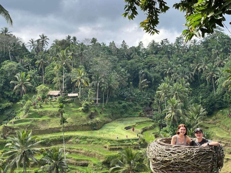 bali-rice-terrace-water-temple-penelokan-mother-temple