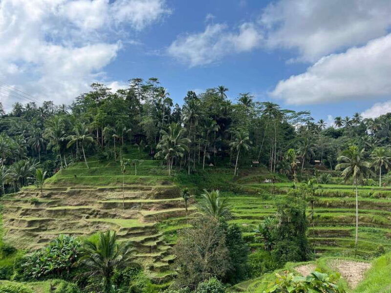 bali-rice-terrace-water-temple-penelokan-mother-temple