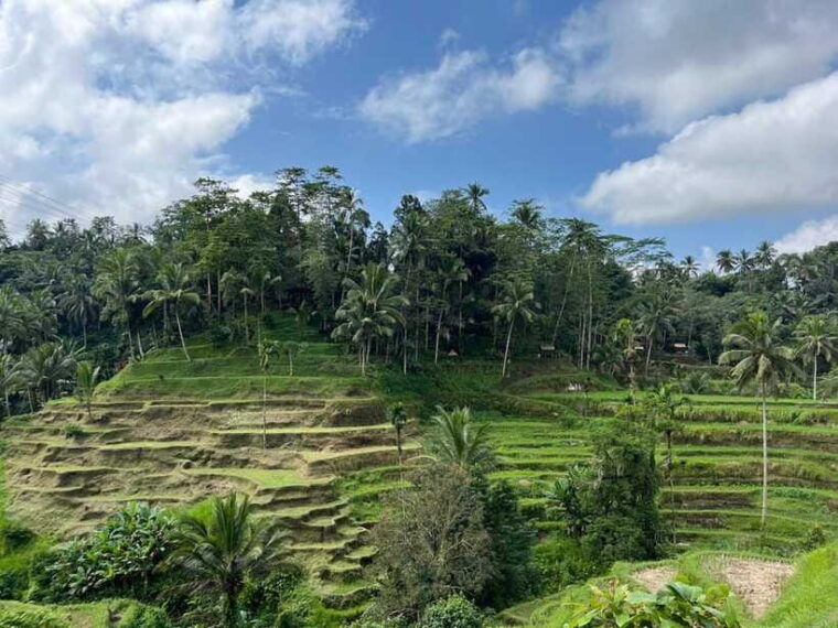 bali-rice-terrace-water-temple-penelokan-mother-temple