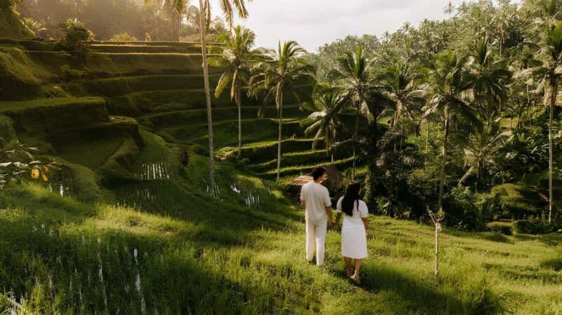 Bali: Rice Terraces, Coffee Tasting & Dinner by Fireflies - Key Points