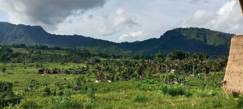 Bali Rice Terraces & Cultural Temples Tour - What This Tour Offers