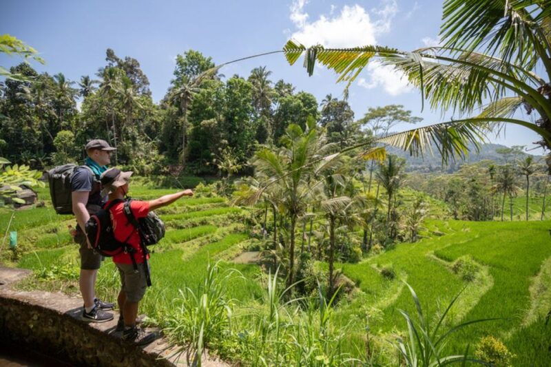bali-rice-terraces-guided-hiking-experience