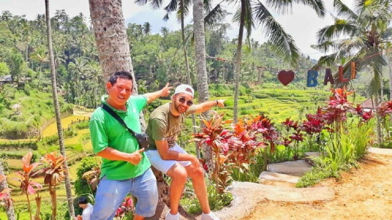 bali-rice-terraces-mount-batur-geopark-and-more-day-tour