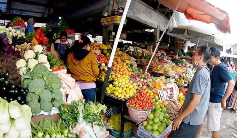 Bali: Royal Temple, Bedugul, and Tanah Lot Private Tour - Introduction: Bali’s Rich Tapestry in One Day