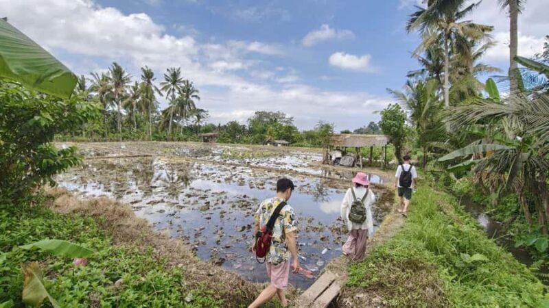 Bali: Rural Trekking and River Adventure Tour - An In-Depth Look at the Bali Rural Trekking and River Adventure
