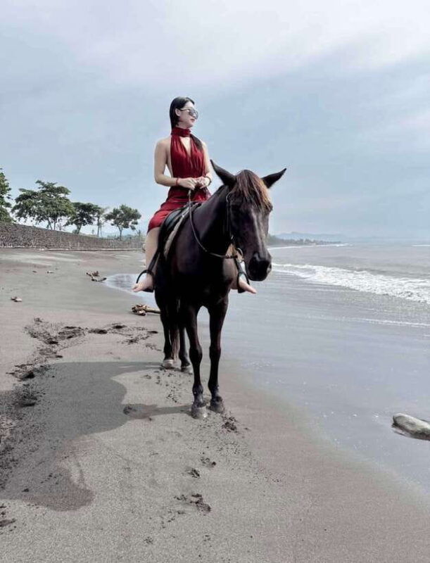 bali-saba-beach-horse-riding-experience