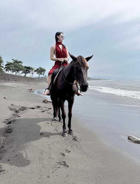 bali-saba-beach-horse-riding-experience