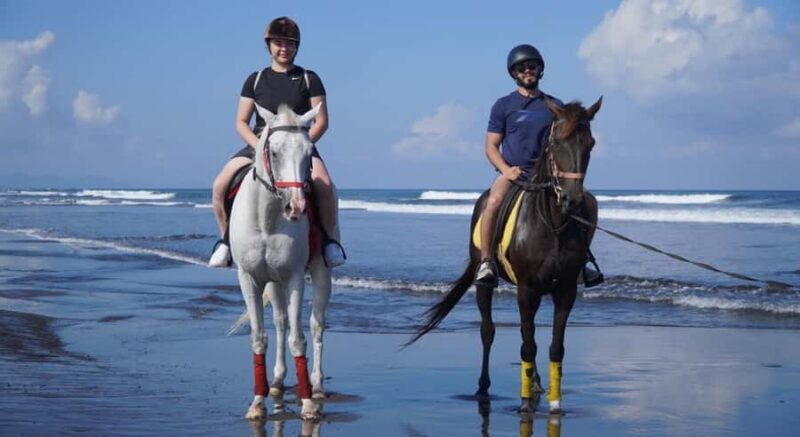 Bali: Saba Beach Horseback Riding Experience - Practical Details & Tips