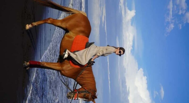 Bali: Saba Beach Horseback Riding Experience - Final Thoughts: Who Is This Tour Best For?
