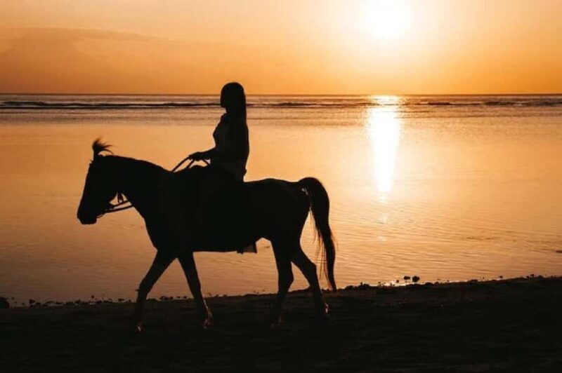 Bali: Saba Beach Premium Horseback Riding Experience - The Itinerary Breakdown