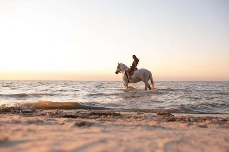 Bali: Saba Beach Premium Horseback Riding Experience - Who Is This Tour Best For?