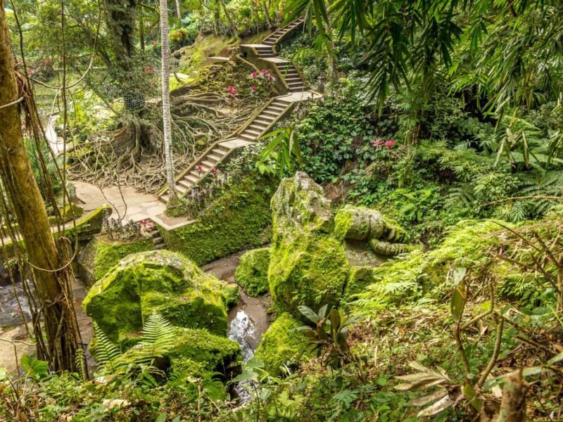 Bali: Sacred Cave to Blue Lagoon, Waterfall & Sea Experience - Introduction to the Experience