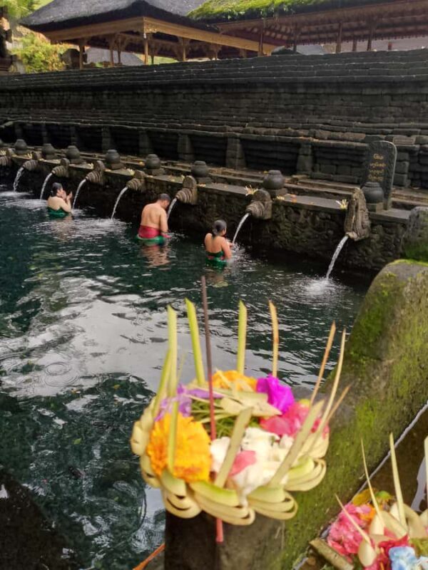 Bali: Sacred Monkey Forest, Rice Terraces & Ritual Tour - Practical Details & What to Expect