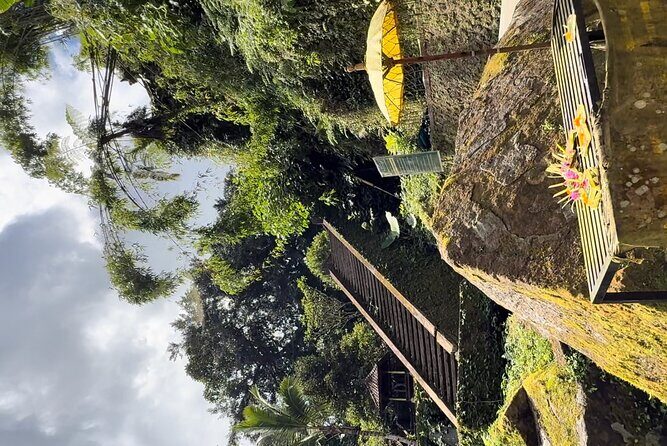 Bali Sacred Purification at Spring Water Temple - Practical Tips for Booking and Participation