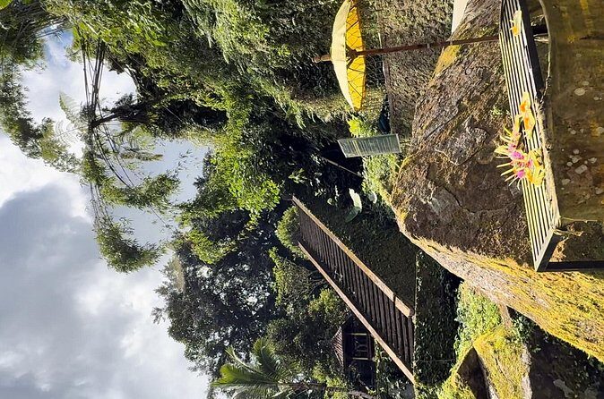 Bali Sacred Purification at Spring Water Temple - Final Thoughts