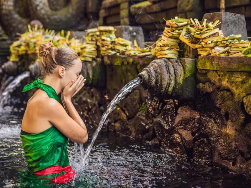 Bali : Sacred Temples & Rice Terraces full day, Private Tour - Final Thoughts