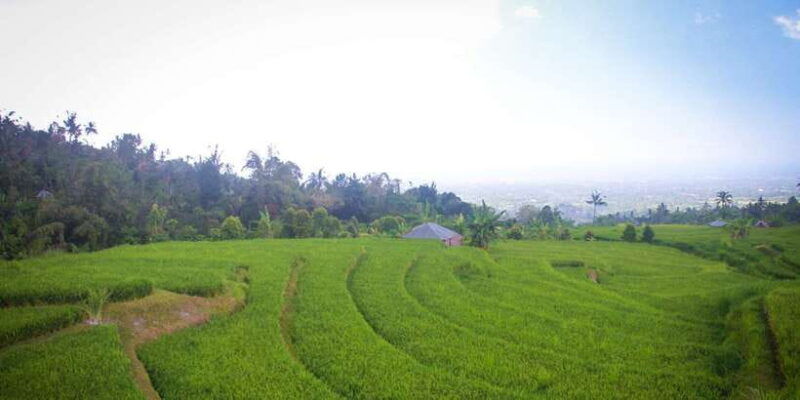 bali-sambangan-waterfalls-trekking-sliding-jumping-trip