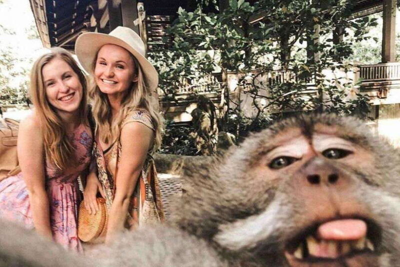 bali-sanctuary-monkey-forest-rice-terrace-water-temple