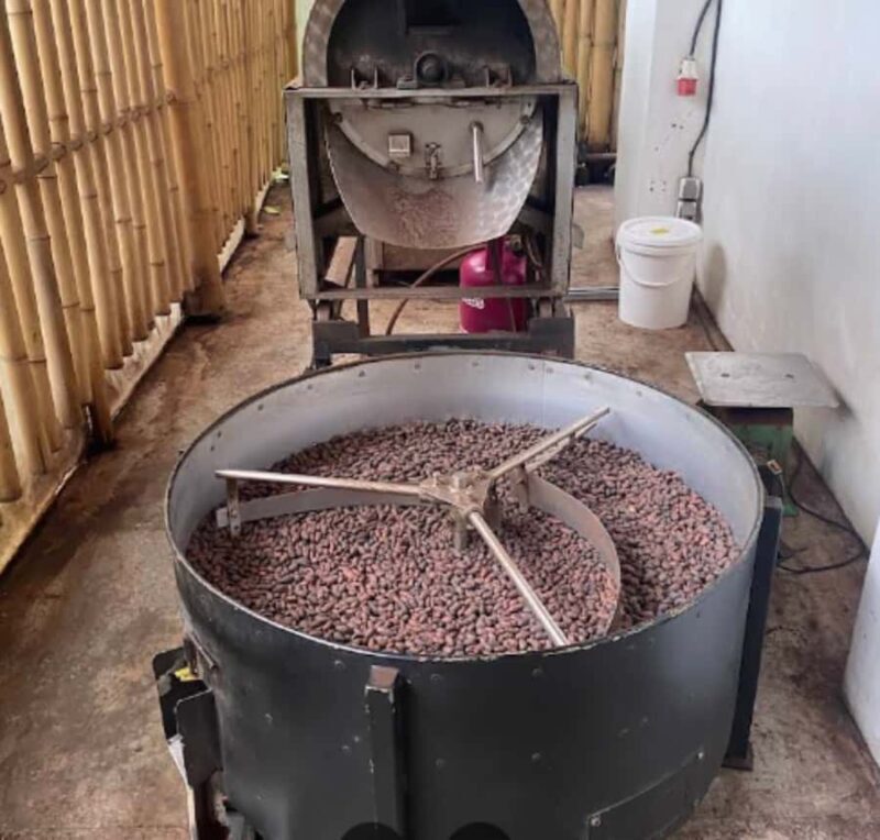 Bali: Sangeh Monkey Forest, Chocolate Factory & Temple Tour - Final Thoughts