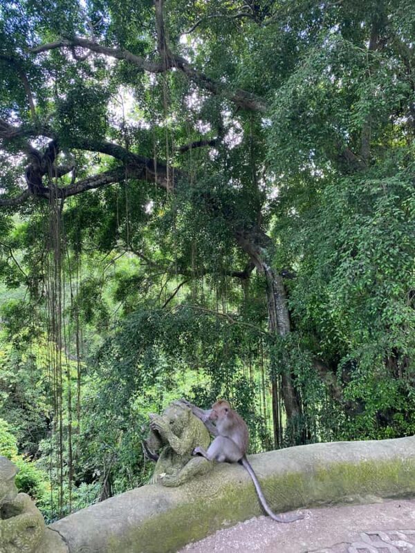 Bali: Sangeh Monkey Forest, Waterfall, & Temple Tour - Key Points