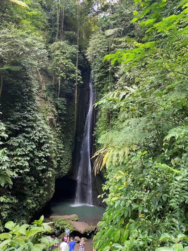 Bali: Sangeh Monkey Forest, Waterfall, & Temple Tour - An In-Depth Look at the Tour