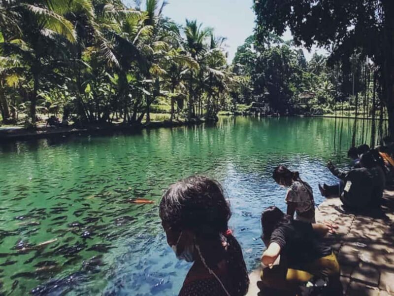 Bali: Sangeh, Taman Mumbul & Jatiluwih Private Day Tour - FAQ