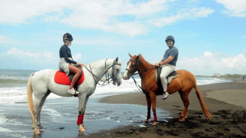 bali-sanur-horse-riding-for-beginner-experience