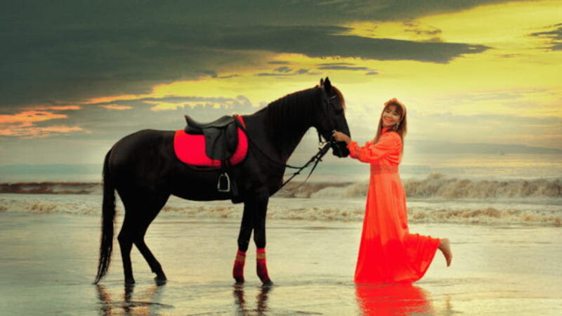 bali-sanur-horse-riding-for-beginner-experience