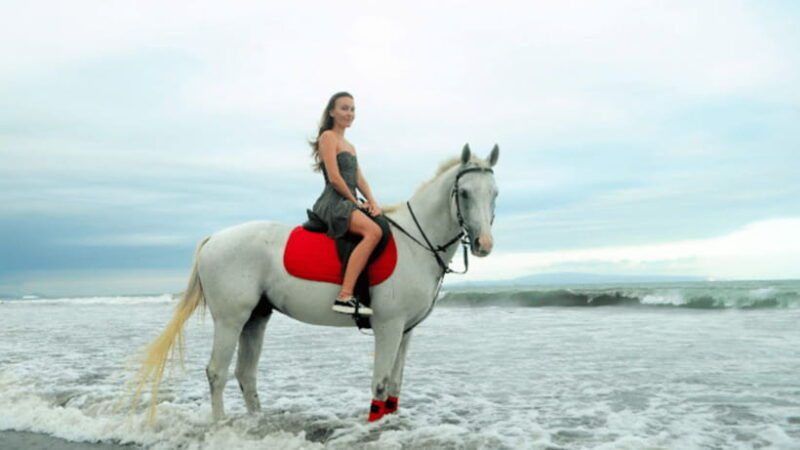 bali-sanur-horse-riding-for-beginner-experience