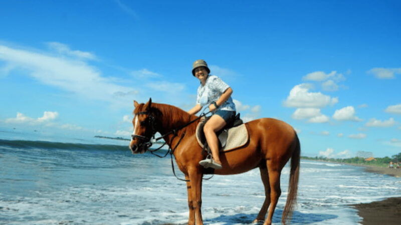 bali-sanur-horse-riding-for-beginner-experience