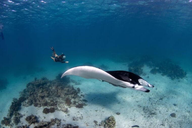 bali-sanur-snorkeling-day-trip-to-nusa-penida-3-sites